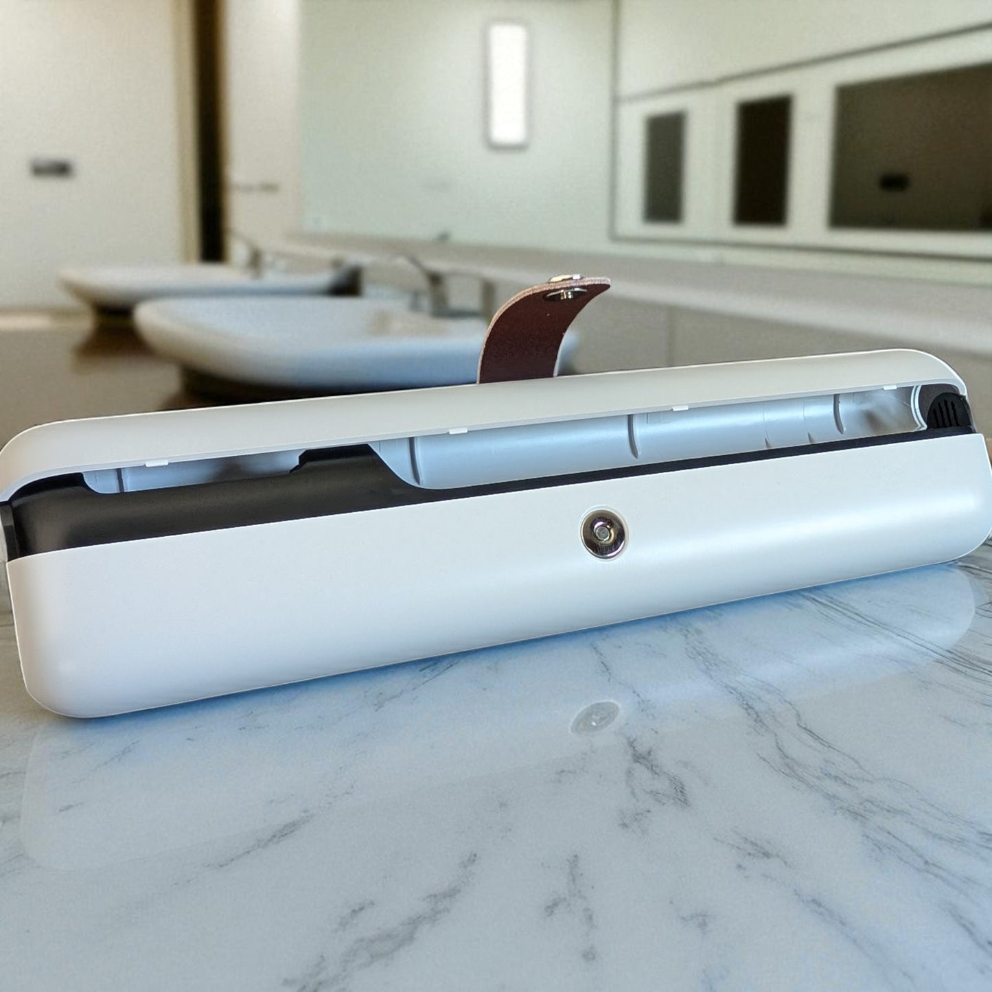 Bristlyte Portable