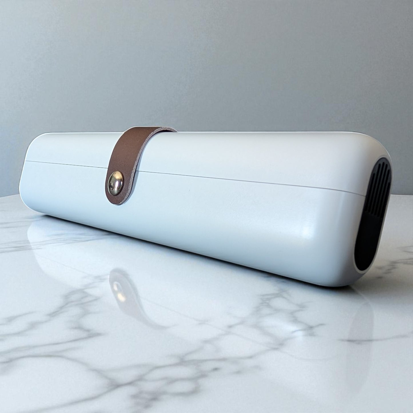 Bristlyte Portable