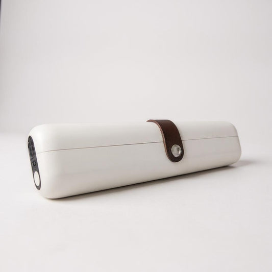 Bristlyte Portable